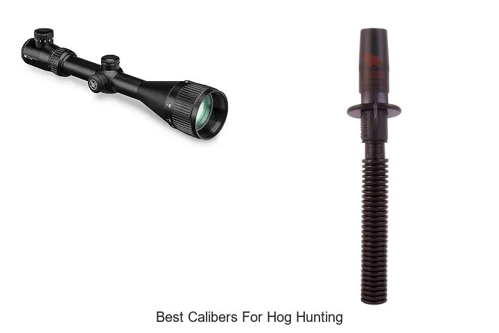 best calibers for hog hunting