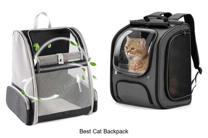 best cat backpack