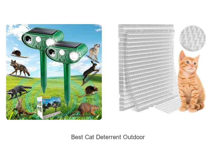 best cat deterrent outdoor