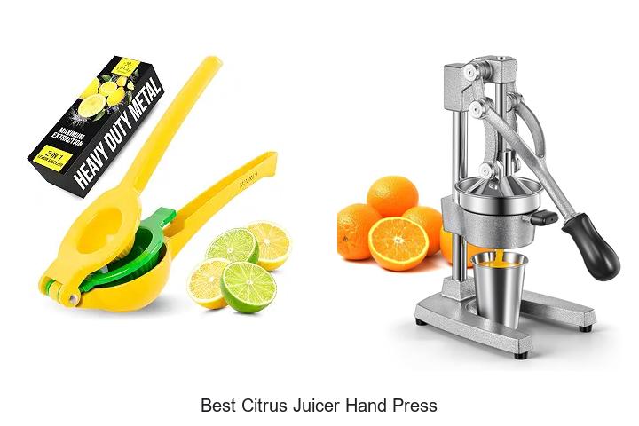 best citrus juicer hand press