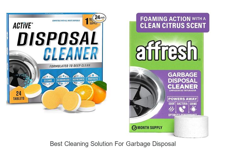best cleaning solution for garbage disposal