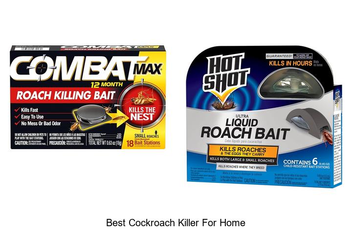 best cockroach killer for home