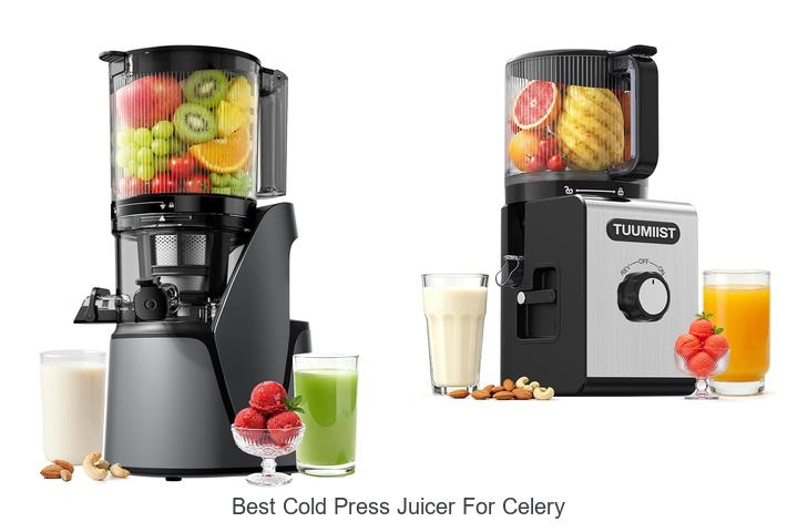 best cold press juicer for celery