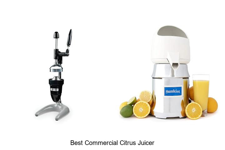 best commercial citrus juicer