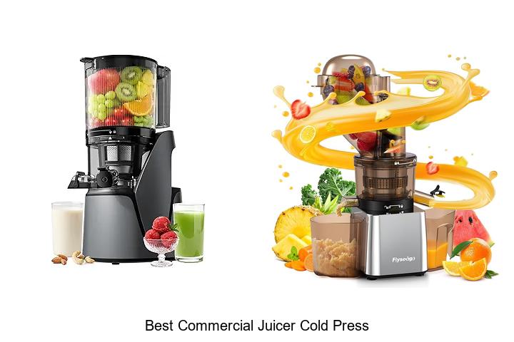 best commercial juicer cold press