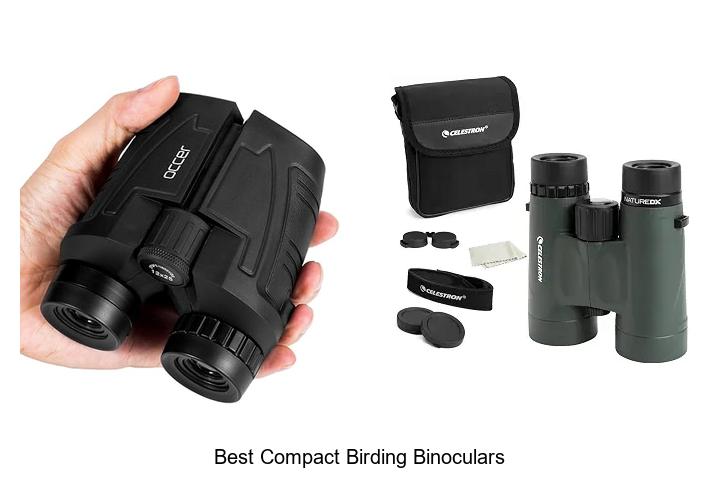 best compact birding binoculars