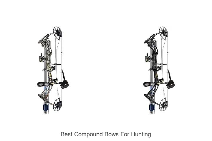 best compound bows for hunting