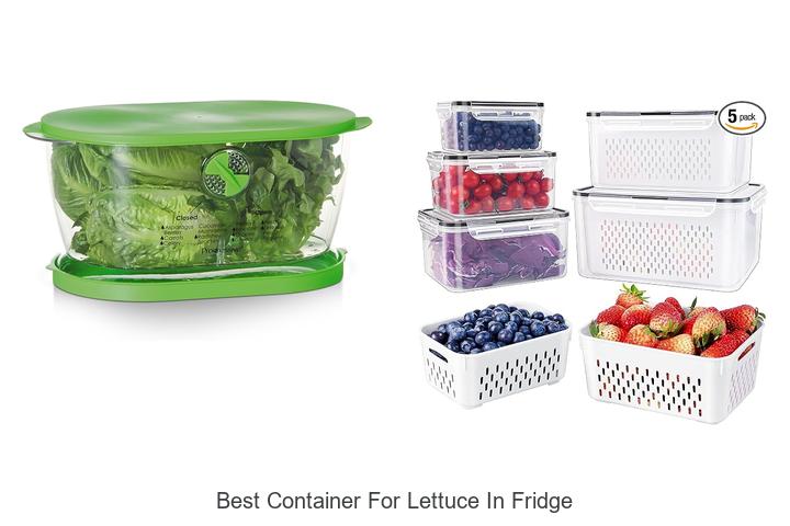 best container for lettuce in fridge