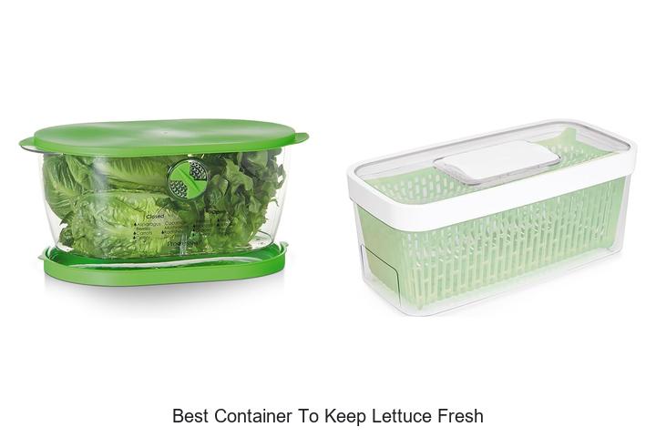 best container to keep lettuce fresh