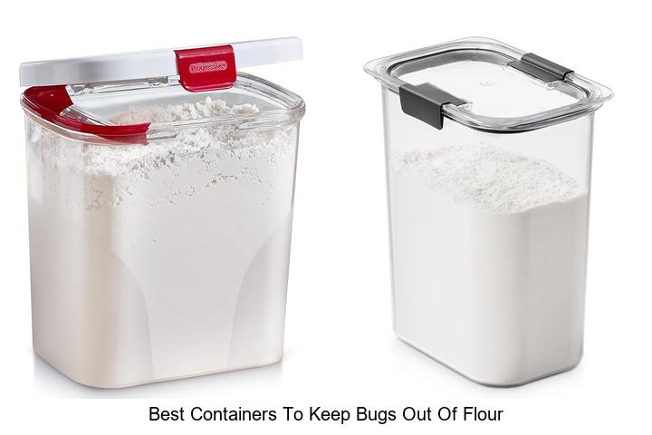 best containers to keep bugs out of flour