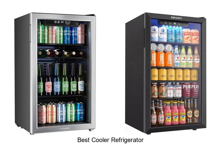 best cooler refrigerator