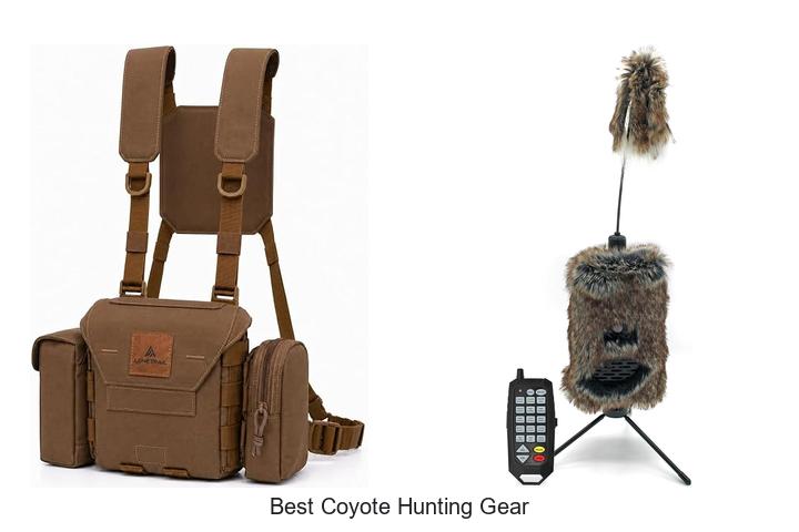 best coyote hunting gear