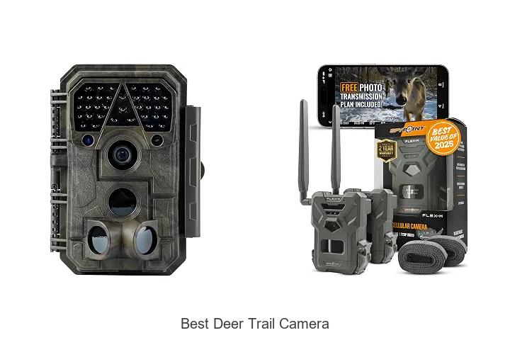 best deer trail camera