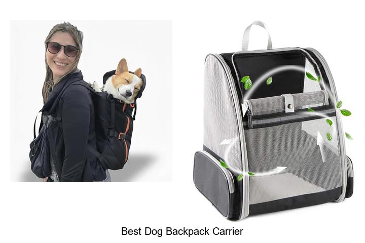 best dog backpack carrier