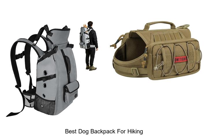 best dog backpack for hiking