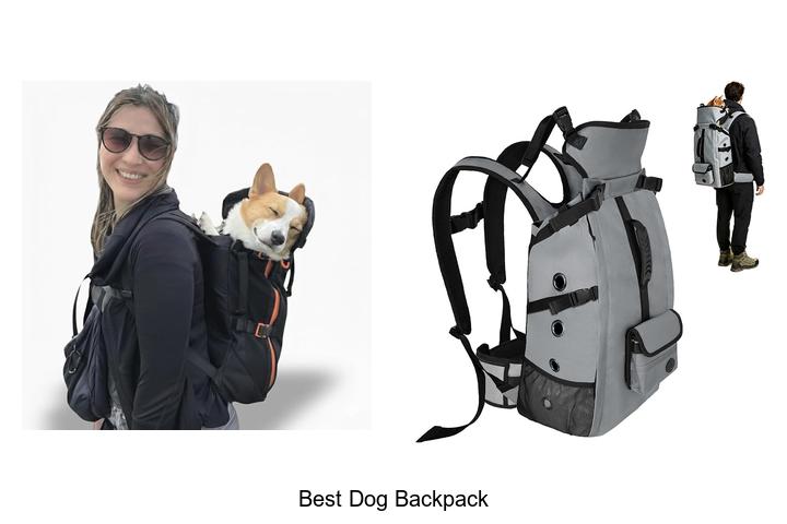 best dog backpack