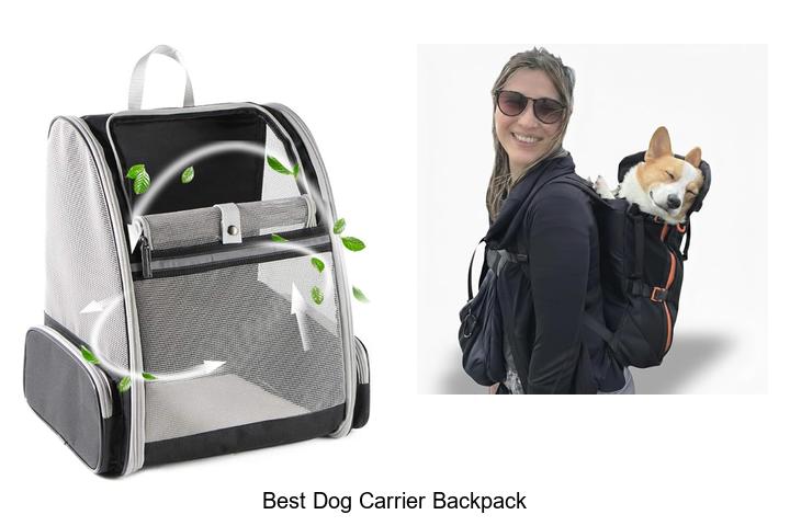 best dog carrier backpack