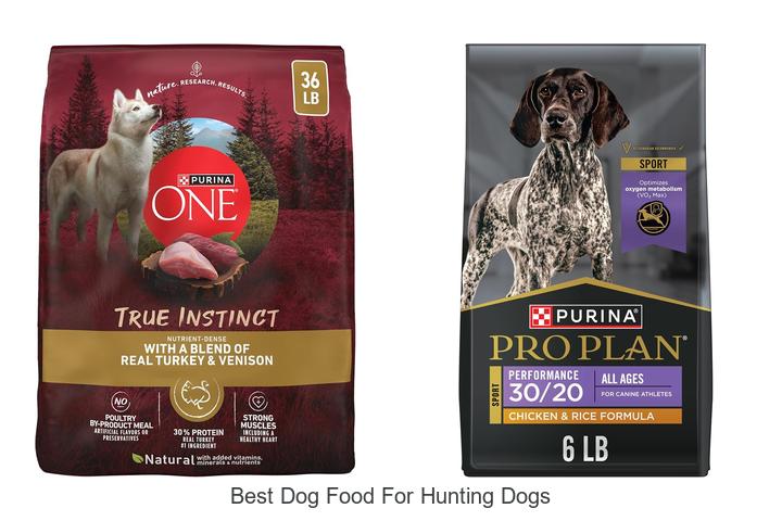 best dog food for hunting dogs