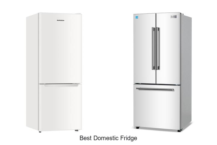 best domestic fridge