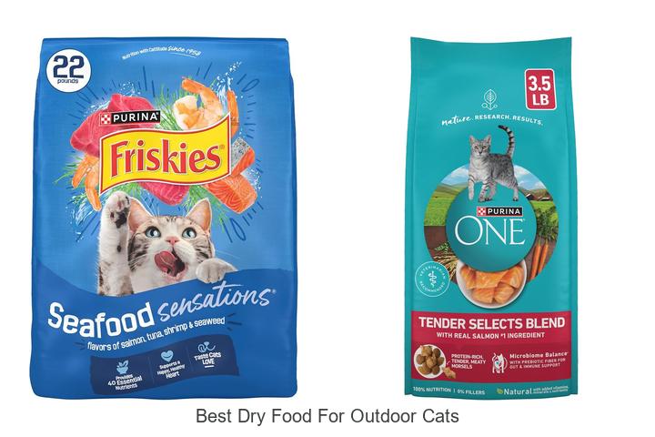 best dry food for outdoor cats