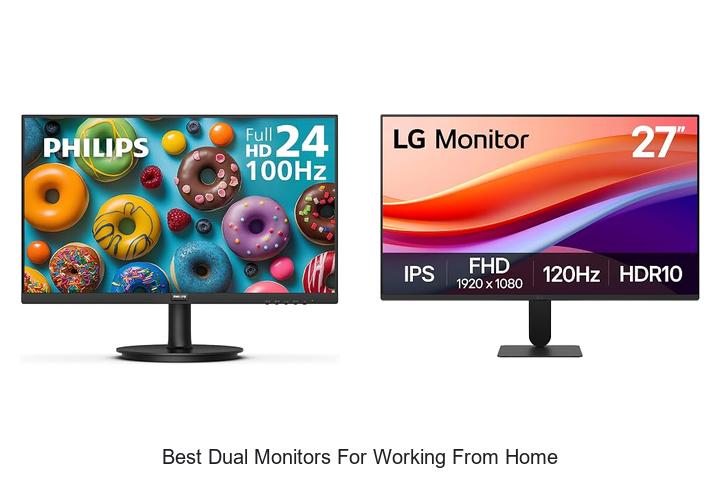 best dual monitors for working from home