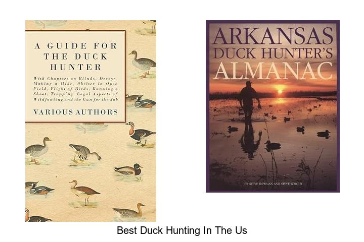 best duck hunting in the us