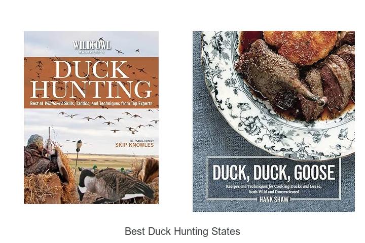 best duck hunting states