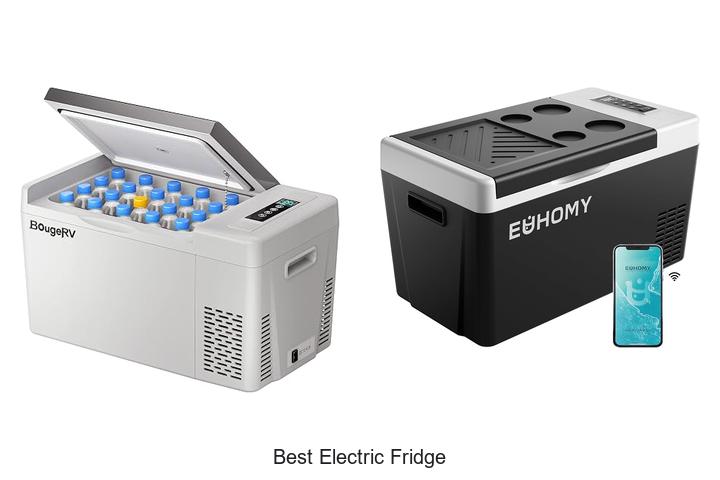 best electric fridge