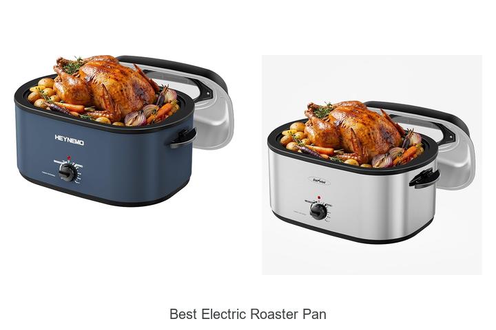 best electric roaster pan