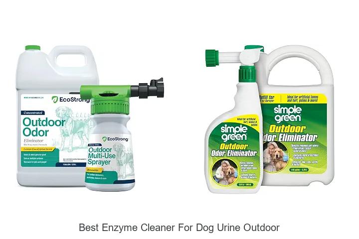 best enzyme cleaner for dog urine outdoor
