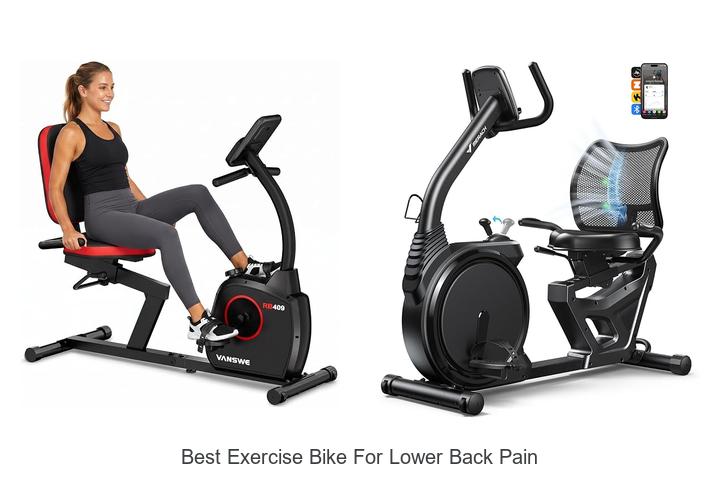 best exercise bike for lower back pain