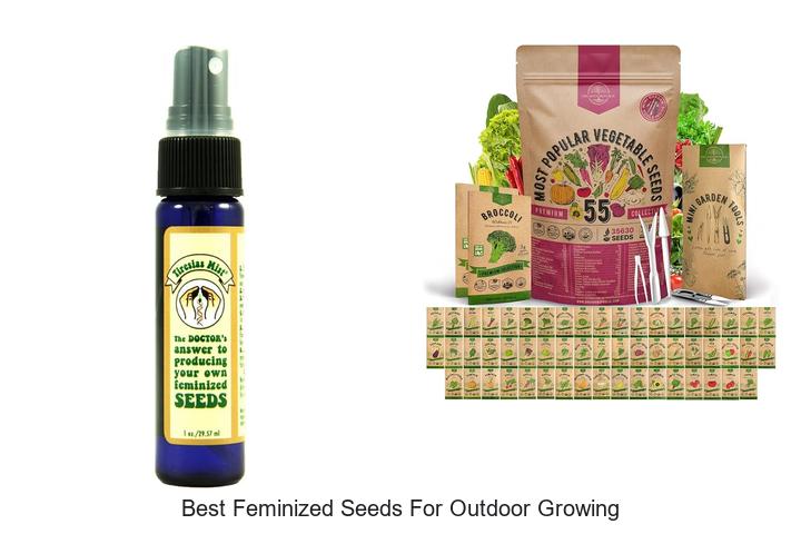 best feminized seeds for outdoor growing
