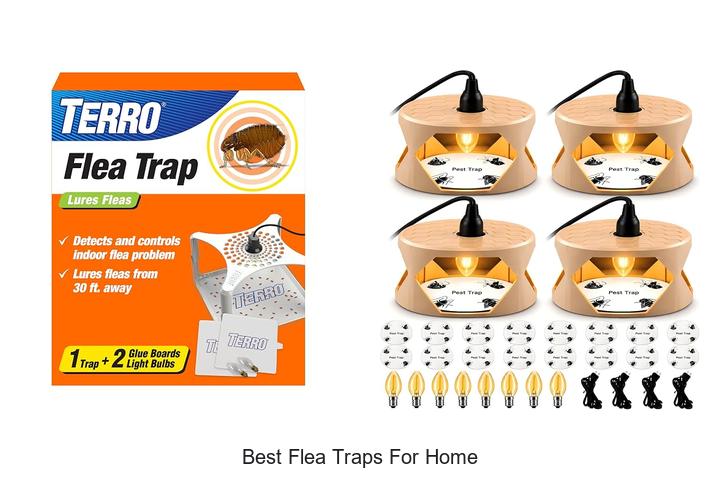 best flea traps for home