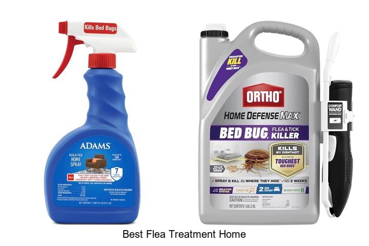 best flea treatment home