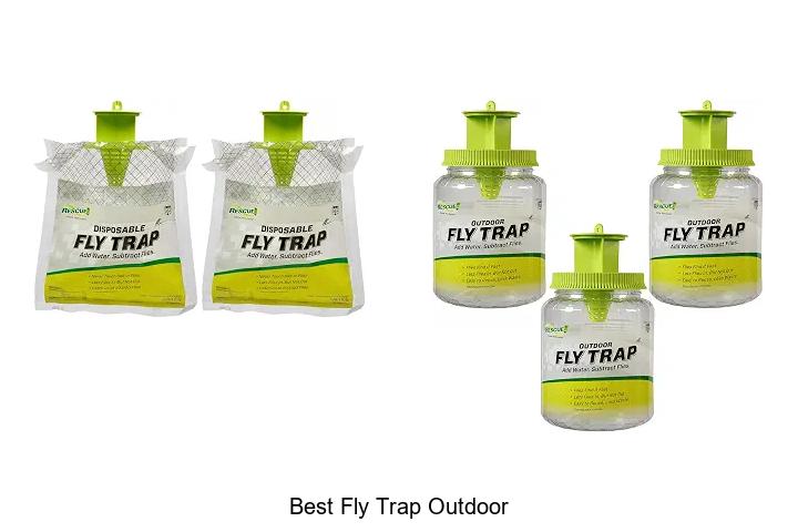 best fly trap outdoor
