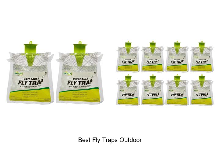 best fly traps outdoor
