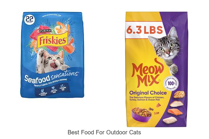 best food for outdoor cats