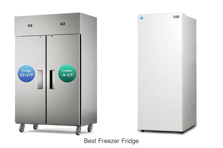 best freezer fridge