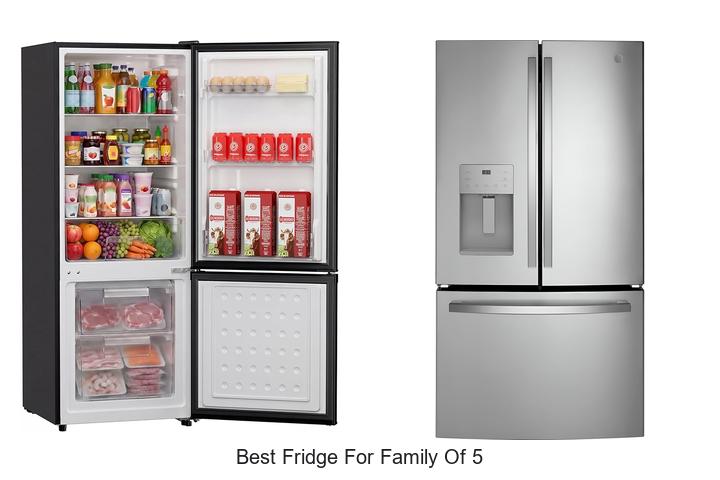 best fridge for family of 5