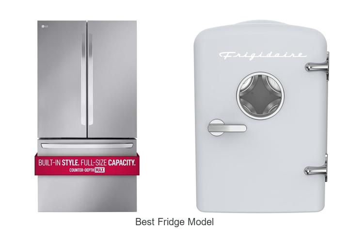 best fridge model