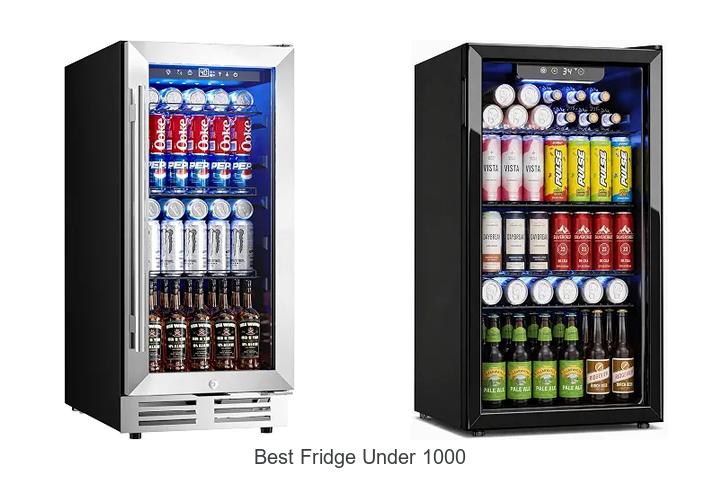 best fridge under 1000