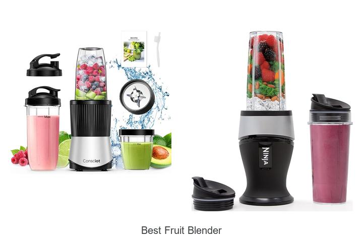 best fruit blender