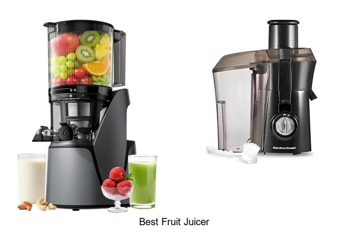 best fruit juicer