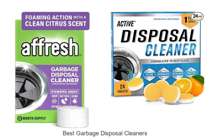 best garbage disposal cleaners
