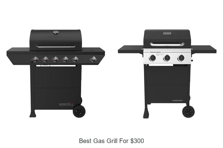 best gas grill for 300