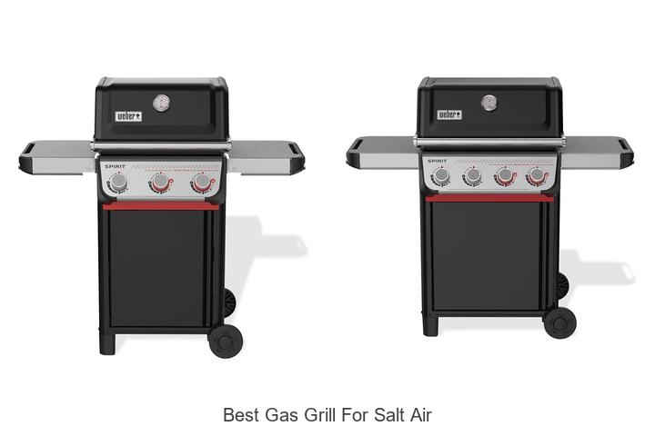 best gas grill for salt air