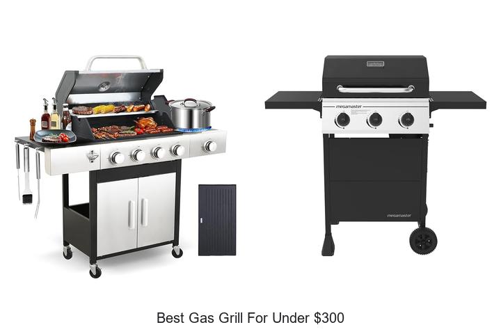 best gas grill for under 300