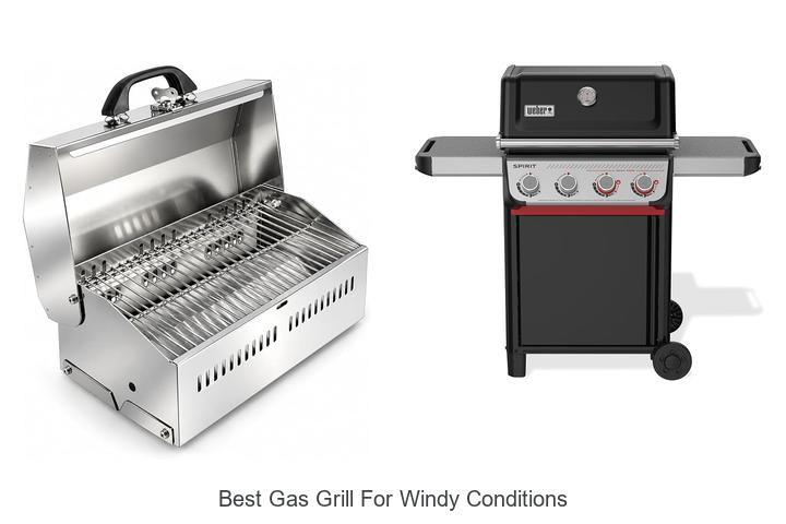 best gas grill for windy conditions