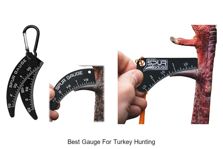 best gauge for turkey hunting