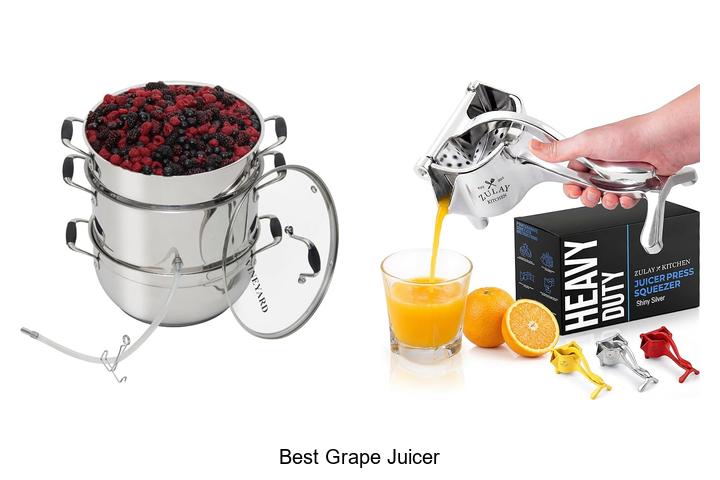 best grape juicer